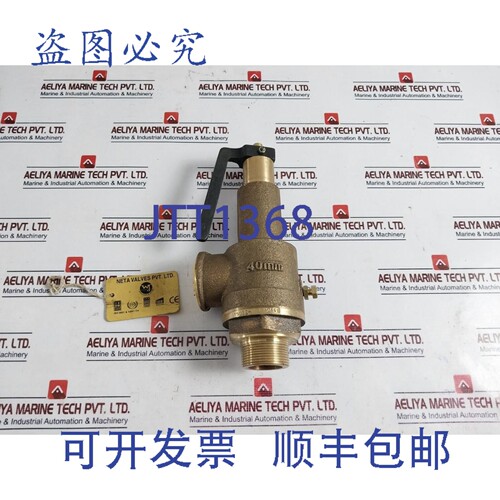 原装供应Neta Valves WJ 40mm 弹簧式安全泄压阀 CX75928
