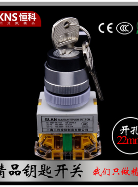 电源锁开关 钥匙开关 电箱开关安全卷帘门开关 2档LAY37 M22mm