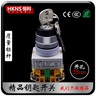 2档LAY37 电箱开关安全卷帘门开关 M22mm 钥匙开关 电源锁开关