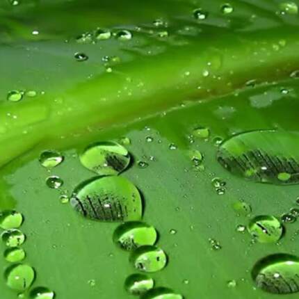 一分钱壁纸/钱0.01元一毛/钱0.1元电脑/手机壁纸245621u