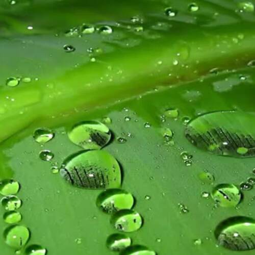 一分钱壁纸/钱0.01元一毛/钱0.1元电脑/手机壁纸245621u