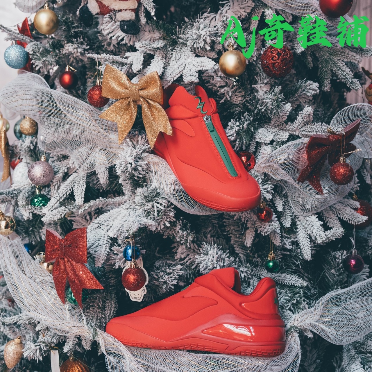 ConverseSHAI001亚历山大1