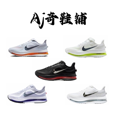 NikePegasusPremiumAirscape