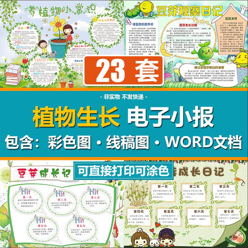 dcx014手抄报模板小报word模板植物生长黄豆芽观察日记手抄电子报