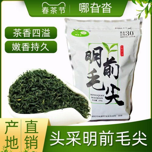 2026新茶石门明前毛尖罗坪茶叶
