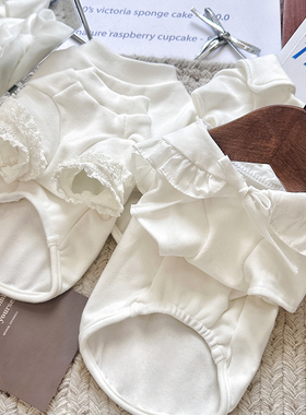 袋袋猫 棉柔纯色打底宠物基础款T恤娃娃领T恤猫咪比熊狗宠物衣服