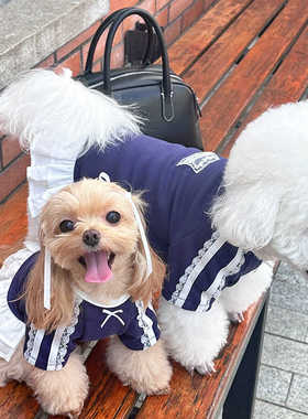 袋袋猫 运动芭蕾风宠物卫衣连衣裙马尔泰比熊小型犬狗狗秋季衣服