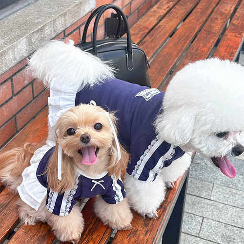 袋袋猫 运动芭蕾风宠物卫衣连衣裙马尔泰比熊小型犬狗狗春季衣服