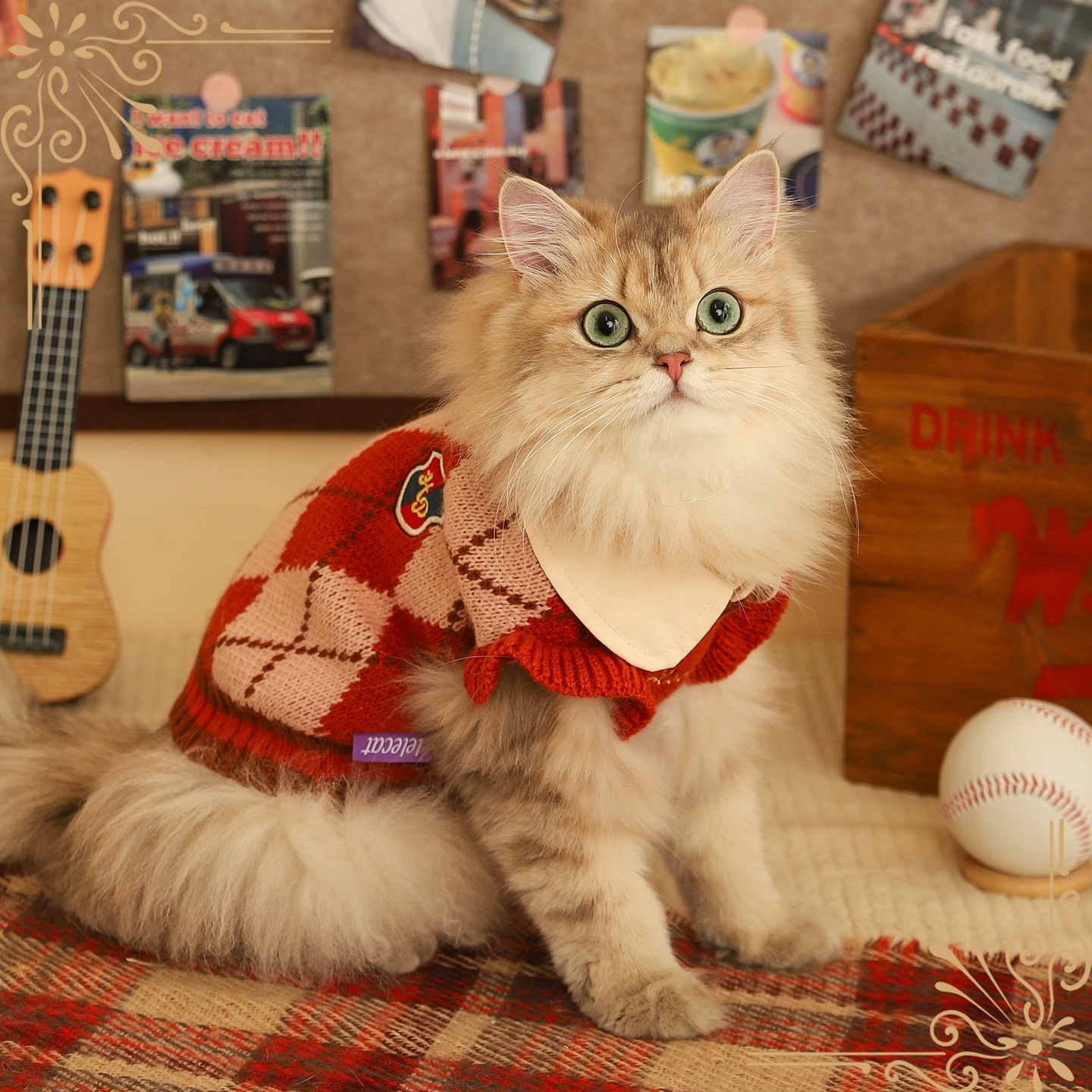 猫咪衣服冬天保暖防掉毛宠物毛衣