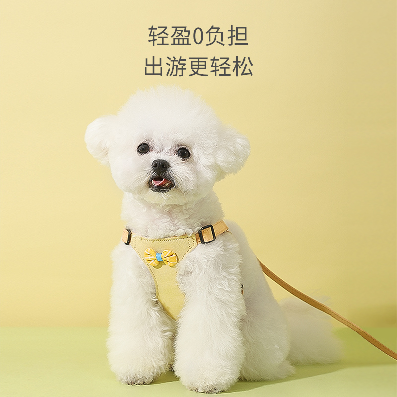 【穿上小背心，出门好看又安心】