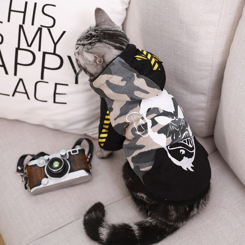 小猫咪衣服波斯布偶幼猫衣服宠物加厚保暖两脚迷彩装秋冬出行卫衣