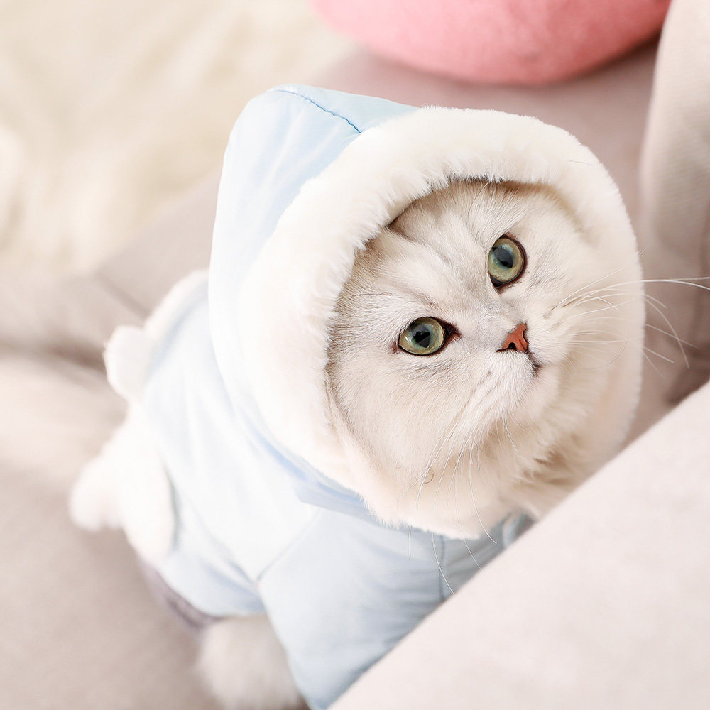宠物猫衣服猫咪衣服布偶美短小奶猫可爱保暖四脚装秋冬天加绒棉衣