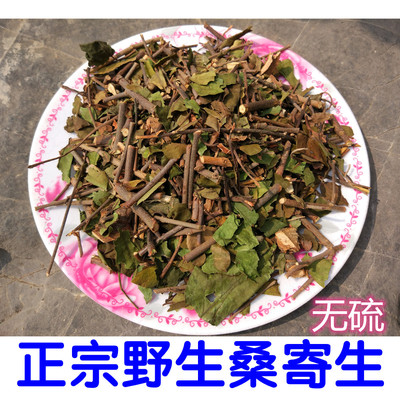 野生广西杜仲茶桑寄生500g包邮