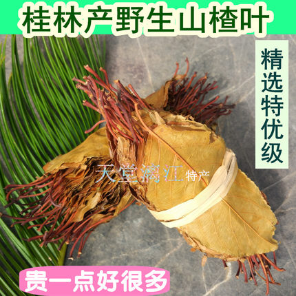 天堂漓江2026新货桂林野生山楂茶叶无硫山楂叶养生茶精选特优级