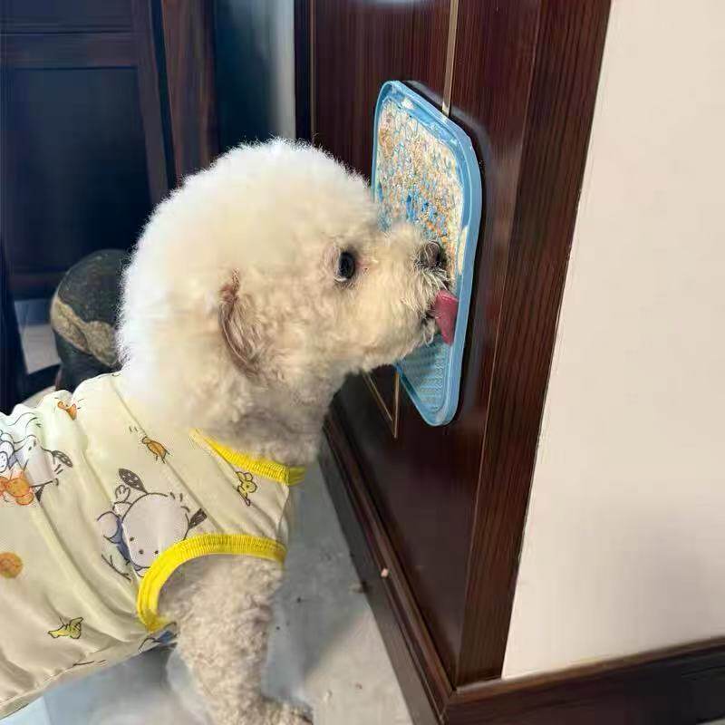 狗狗慢食碗夏季宠物冰镇舔舔盘防打翻防噎吸盘猫咪慢食垫硅胶狗盆