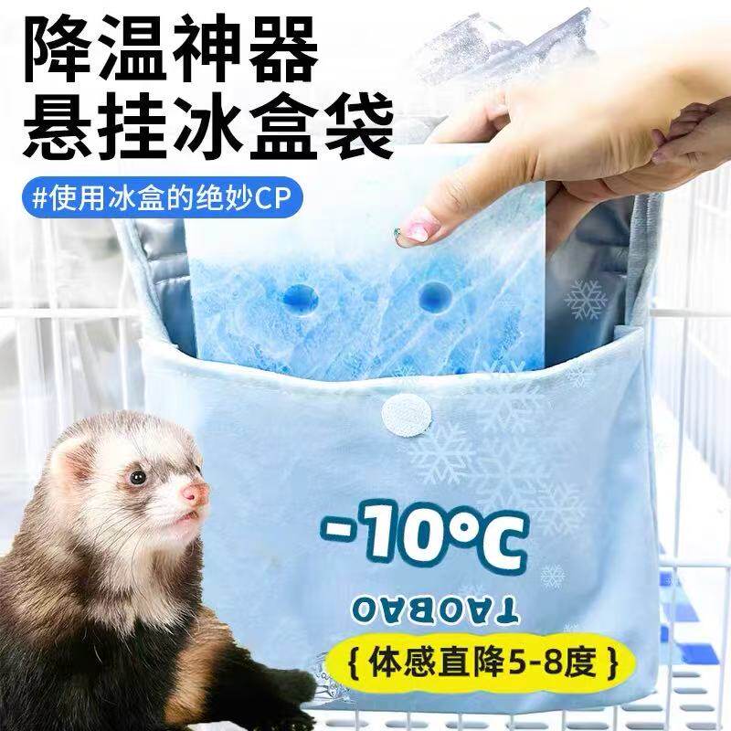 雪貂降温冰块冰袋宠物安格鲁貂