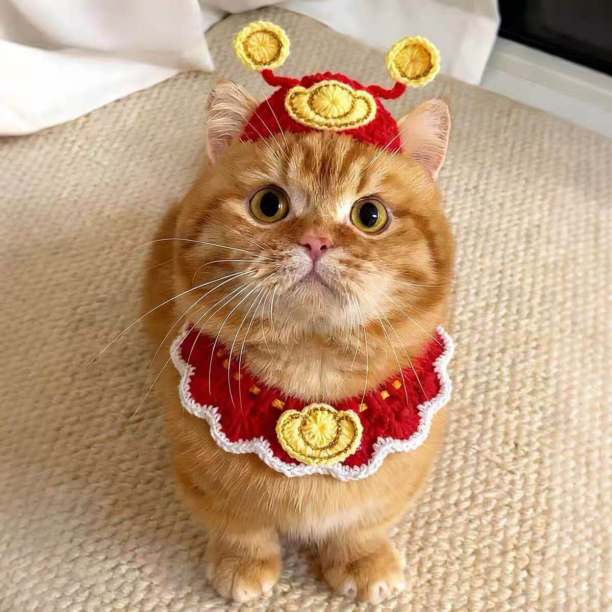 财神宠物围脖帽子新年套装