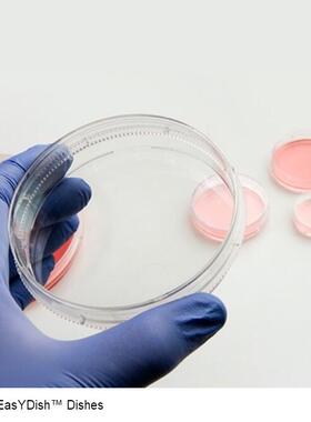 thermo nunc 35mm细胞培养皿150460 150466 无菌带盖透气 10个/包