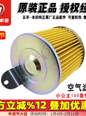 五羊本田小公主WH100T-A-H-G-F-K喜悦 优悦空气滤芯空滤器滤清器