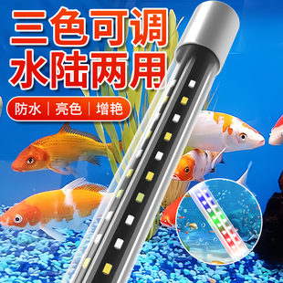 小型全光谱鱼缸灯led防水节能灯超亮增艳三基色照明水族箱龙鱼灯