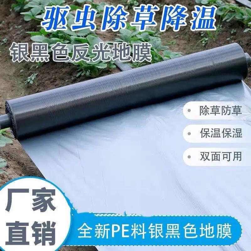 银黑地膜双色地膜反光膜除草防虫加厚塑料银黑膜黑白地膜双面地膜 鲜花速递/花卉仿真/绿植园艺 塑料薄膜 原图主图