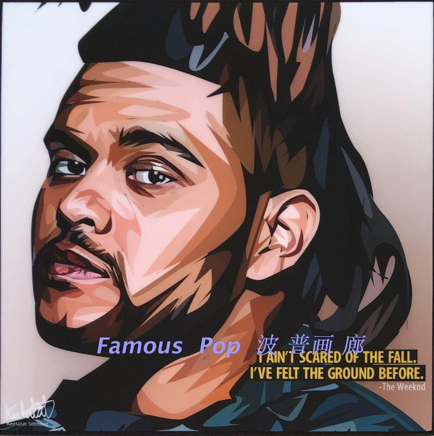 famous pop波普艺术装饰挂画加拿大黑人歌手the weeknd威肯盆栽哥