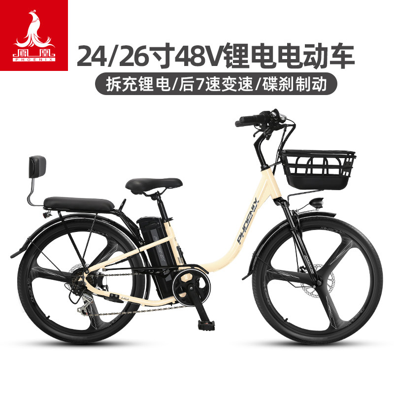 凤凰通勤电动车锂电池