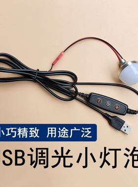 USB灯3W小夜灯手工DIY灯笼模型灯珠迷你充电宝接口调光5VLED灯泡