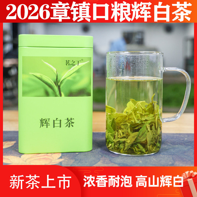 2026新茶口粮辉白茶上虞章镇辉白茶叶浓香耐泡春茶高山绿茶500g