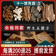 野生赤灵芝桑黄树舌黄云芝茯苓五菌方真菌汤一个月量15袋