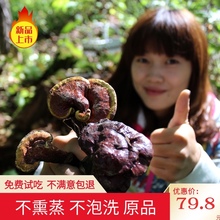 林芝纯野生灵芝整枝天然长白山赤芝正品 木灵芝深山五色灵芝切片粉