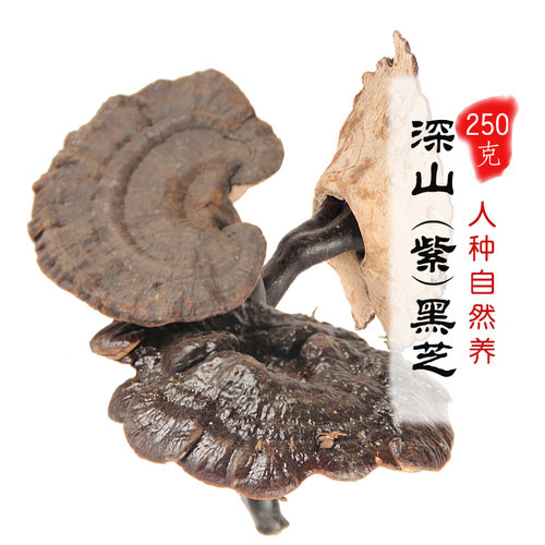 日常款】半野生紫芝黑芝黑灵芝林下紫灵芝可免费切片打粉250g新货 - 封面