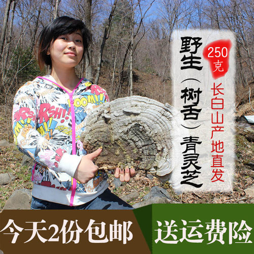 野生树舌灵芝大个块青芝250g正品灵芝片粉长白山平盖灵芝整枝 - 封面