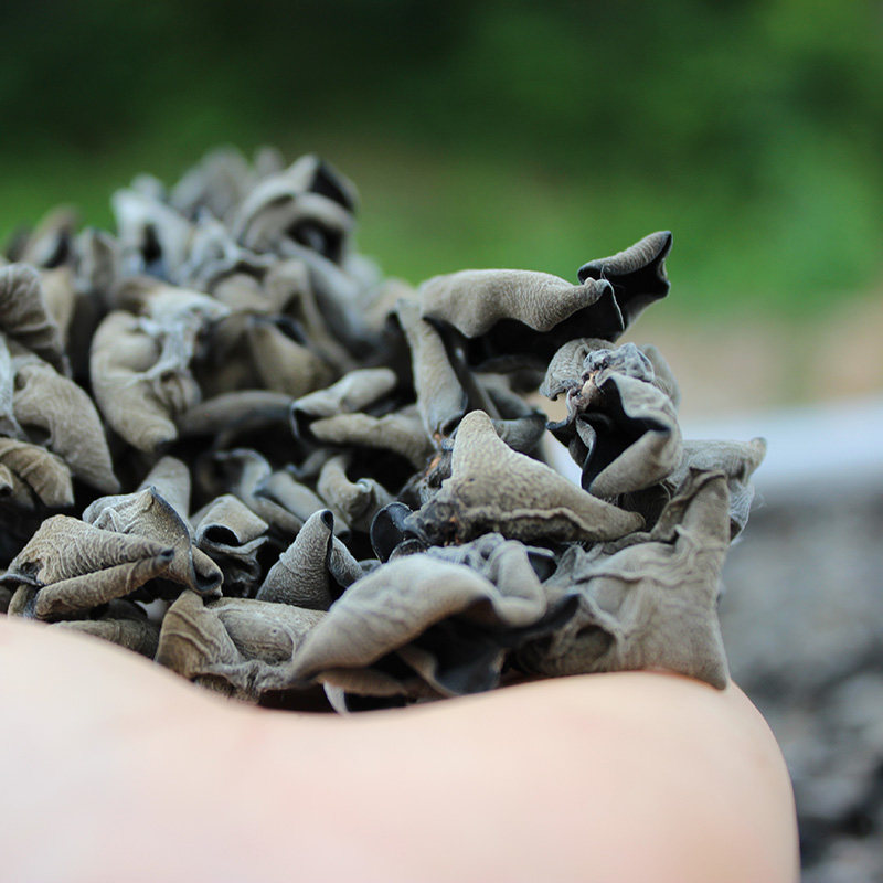 东北黑木耳吉林小秋耳无根自产小碗耳长白山干货黄松甸黑木耳,粮油调味/速食/干货/烘焙,黑木耳,淘宝优惠券,粉丝福利购,淘宝优惠卷