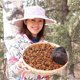 桦树茸野生白桦茸非俄罗斯进口正品 桦褐孔菌长白山天然胰岛素