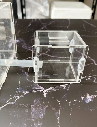 宠物蚂蚁收获蚁弓背蚁垃圾收集站 垃圾盒子拓展口10mm通用