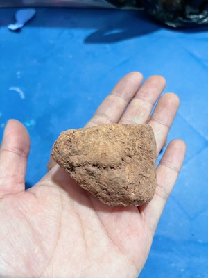 蚂蚁收获蚁蚁巢活动区造景 火山石装饰沙石火星石