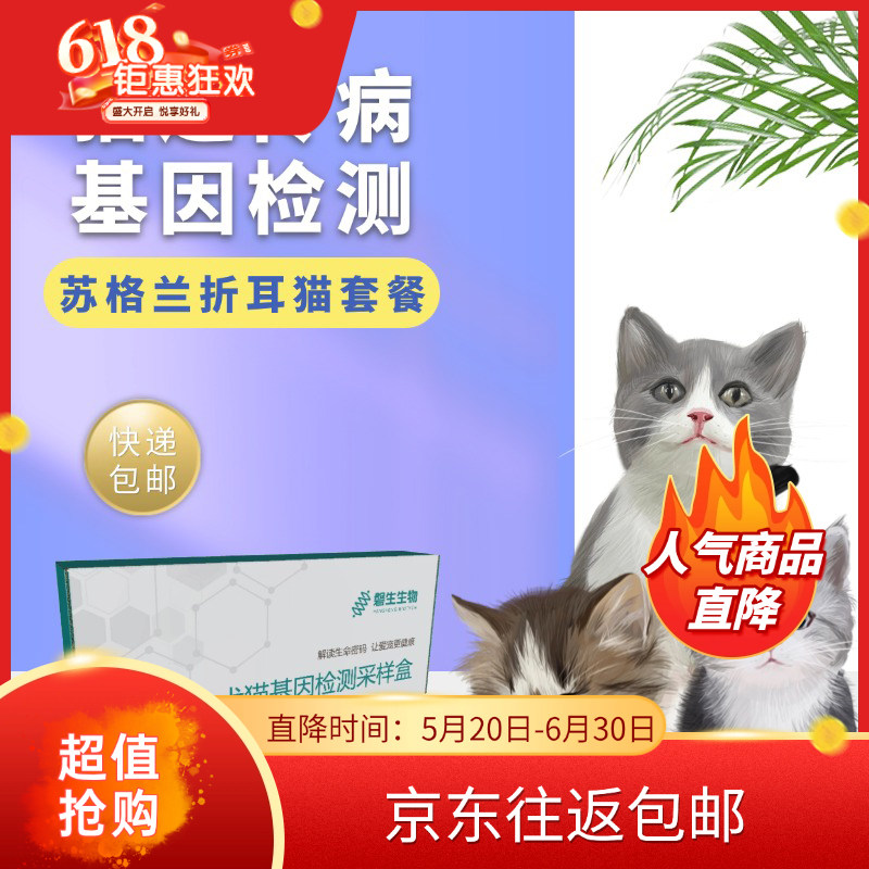 宠物基因检测 苏格兰折耳猫基因