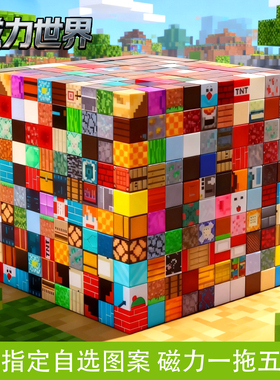 爆款我的世界磁力方块魔方百变积木磁性方块益智儿童玩具收纳盒装