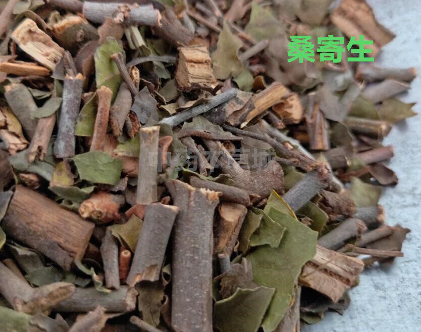 桑寄生500g 寄生 冬青 槲寄生 广寄生