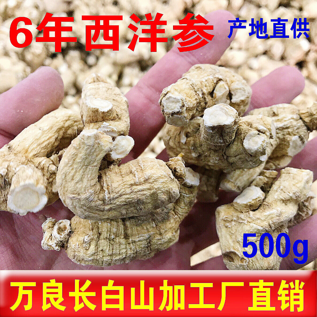 西洋参整枝特级粒头500g花旗参