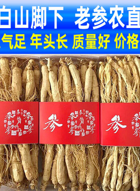 【今日特价】高龄生晒参500g人参长白山非野山参干人参泡酒中药材