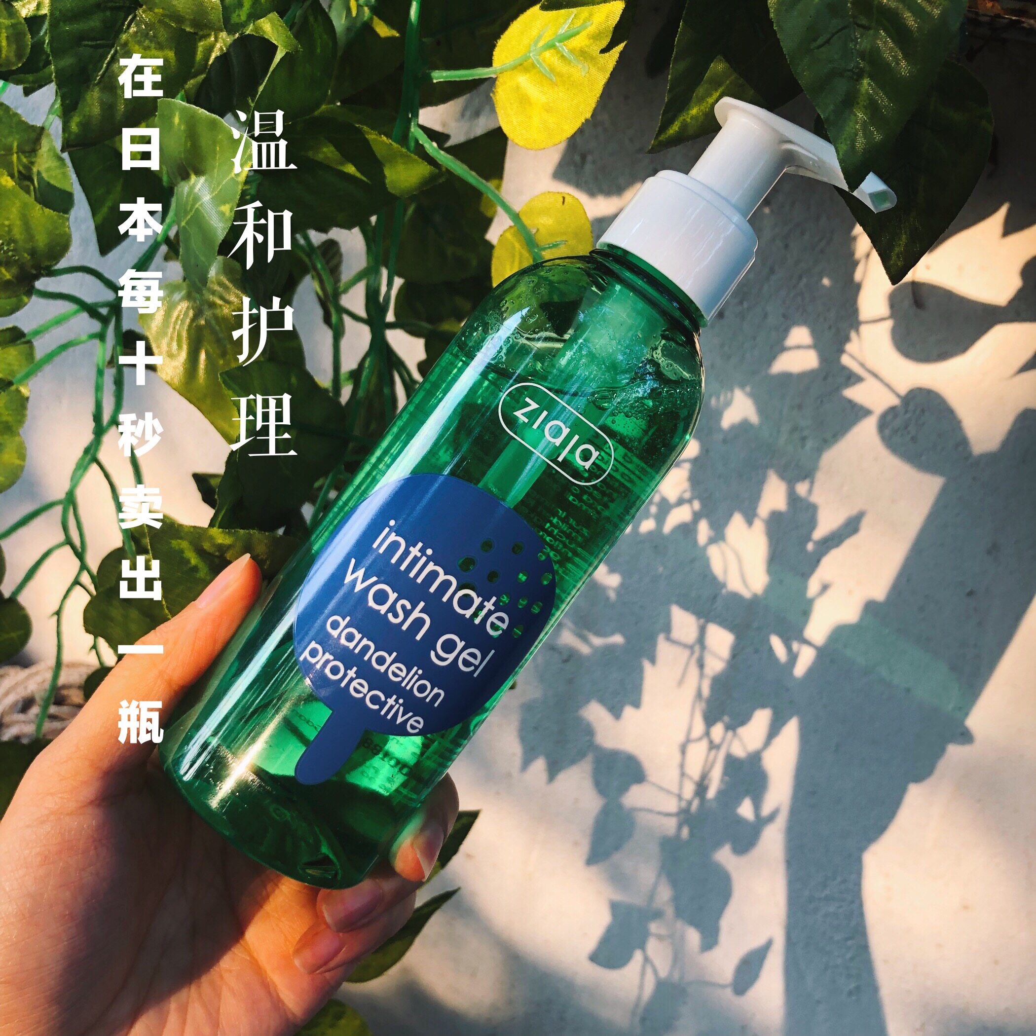 每10秒卖出一瓶 波兰ziaja齐叶雅蒲公英女性私处洗液私密护理液