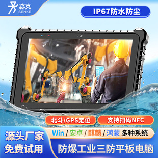 10寸工业三防平板电脑手持防爆加固终端麒麟鸿蒙系统车载高亮摔
