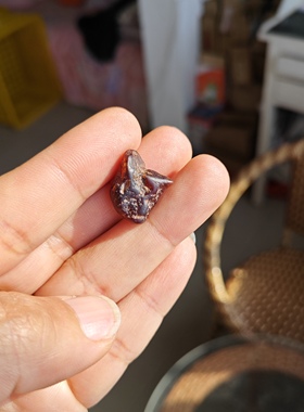 纯天然东北石榴石原矿石原料 橙色 东北双鸭山石榴石原石 1颗