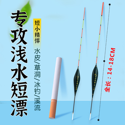 浅水草洞鲫鱼浮漂高灵敏醒目短漂