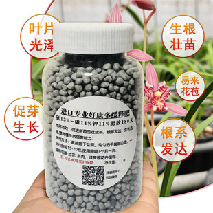 好康多兰花专用肥料进口缓释肥营养君子蝴蝶花卉通用叶面液体肥