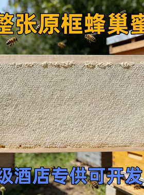 整张原框蜂巢蜜5-6斤农家自产