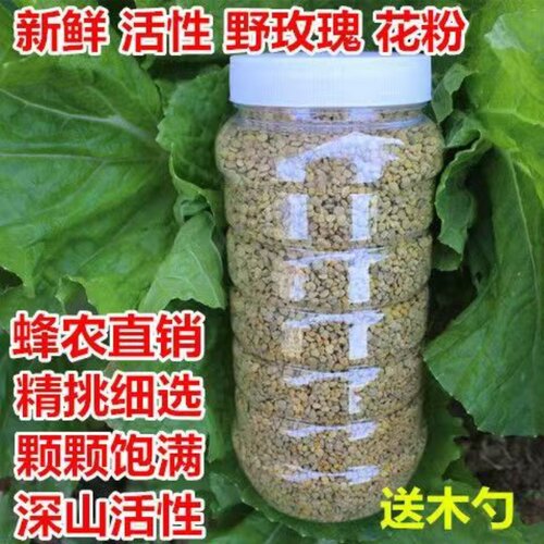 2024年纯正野玫瑰花粉 新鲜 农家蜂花粉 花粉贵妇 粒粒精选  包邮