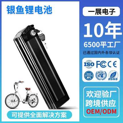 跨境36V/48V银鱼款电动自行车电池助力山地折叠自行车锂电池